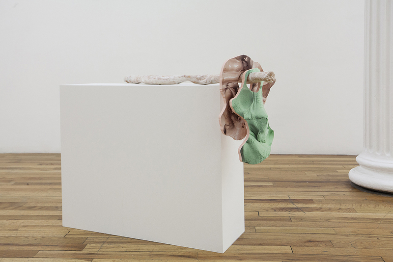 Rachel dejoode softinquiry 01