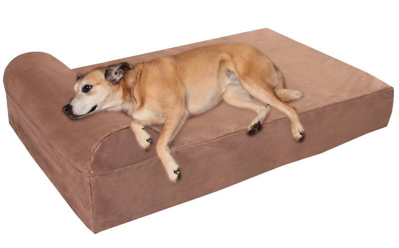 down dog