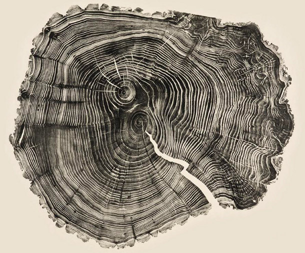 Woodcut prints 1