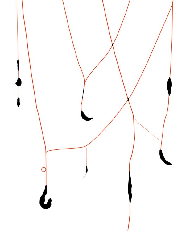 BranchingModels