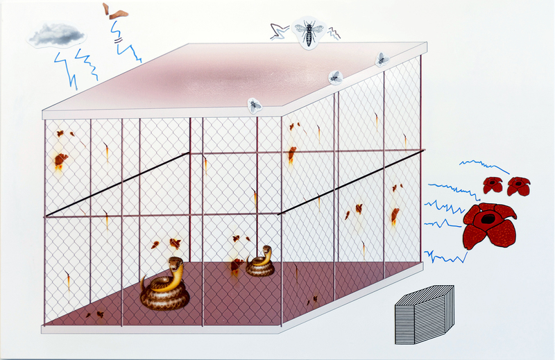 HvdD Isolation