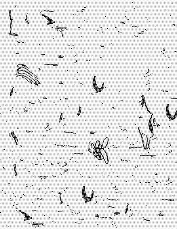 SANDSHARKS by Laura Brothers