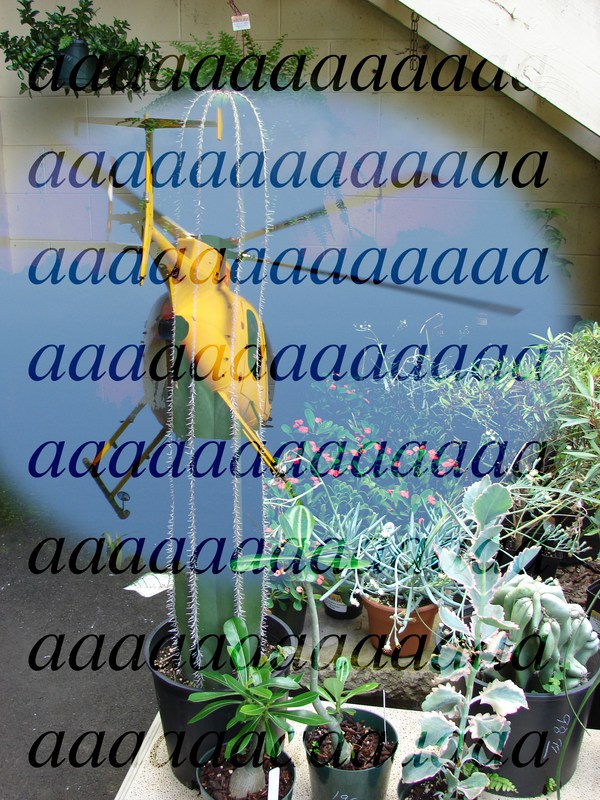 Aaaaaaaa