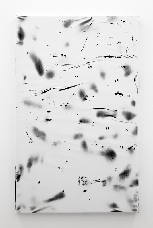 bacteria