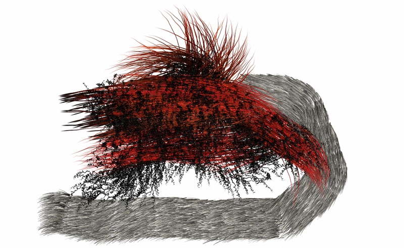 Hair4 by Charles Broskoski