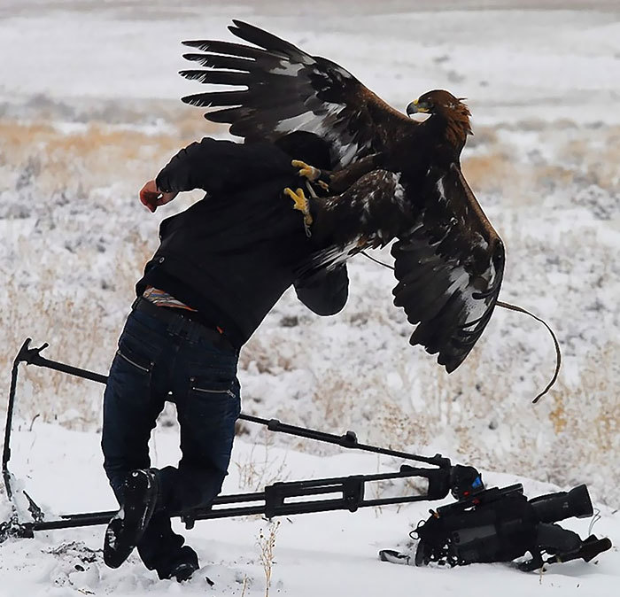 Dedicated photographers 24  700