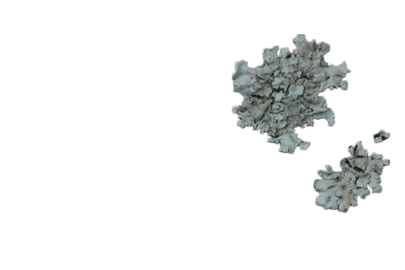 Objects WEBSITE 3 copy