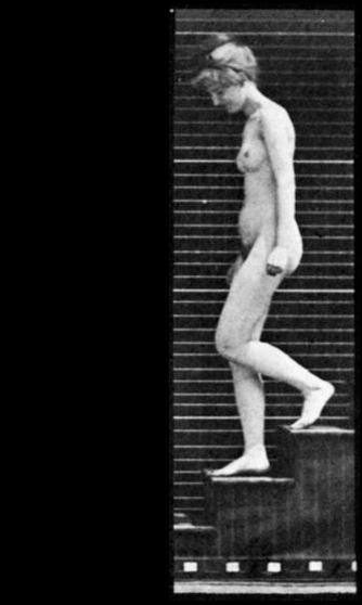 Eadweard Muybridge 1