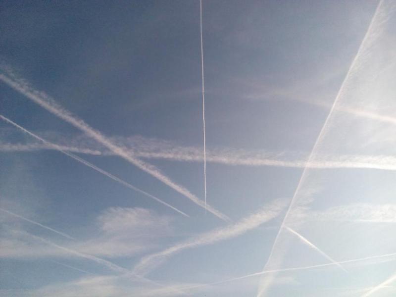 Trails