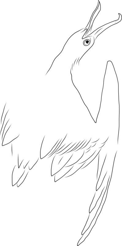 Draw Layer