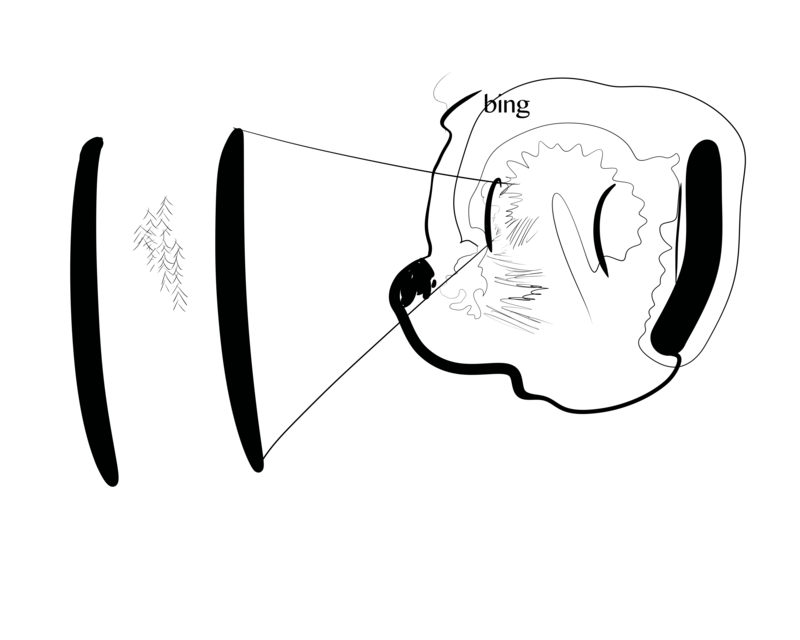 Bing