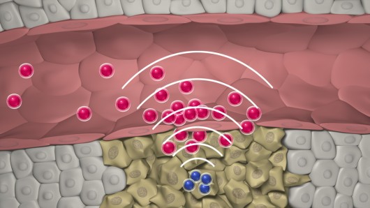 Communicating nanoparticles