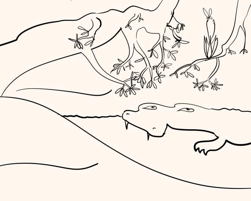 Crocodile