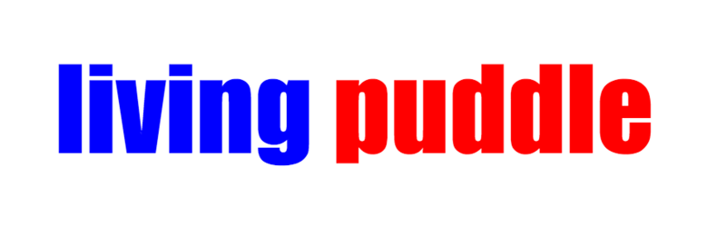 Living puddle
