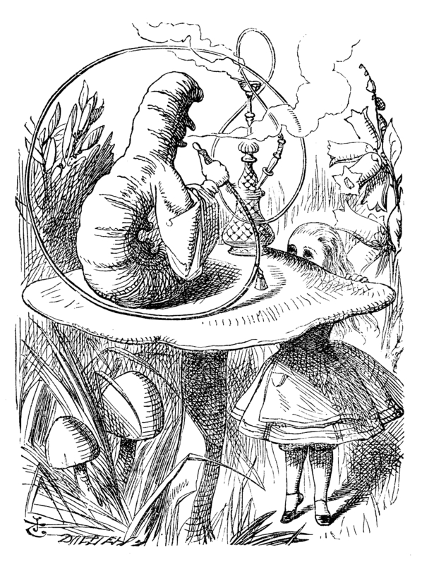Alice 05a 1116x1492