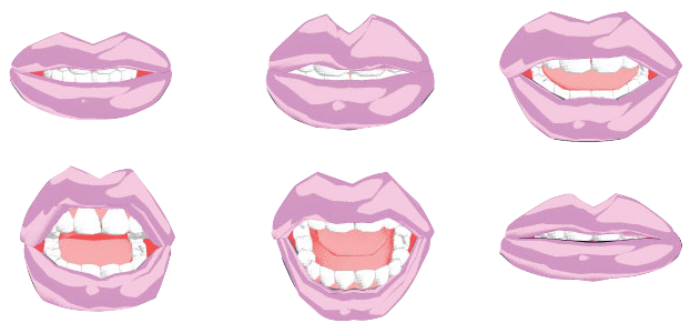  1x 1