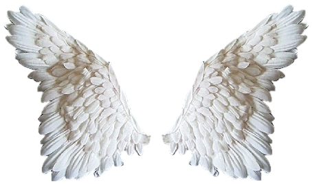 ANGELWINGS2AWHITE