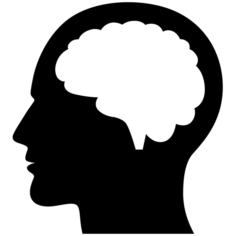 Brain icon 1