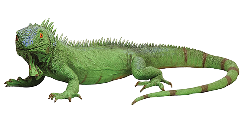 DI18 8210 JUMBO FOAM IGUANA