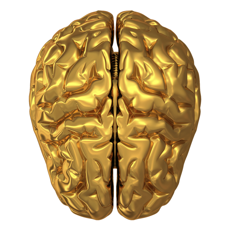 Gold Brain