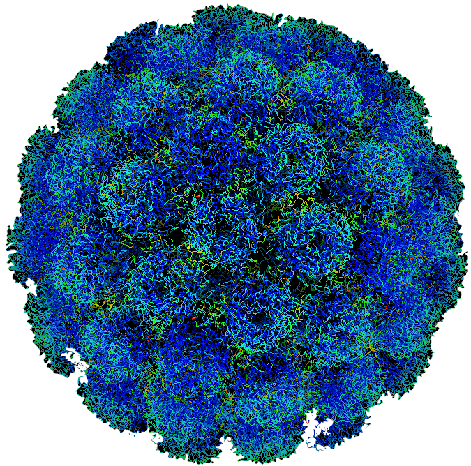 Symian virus