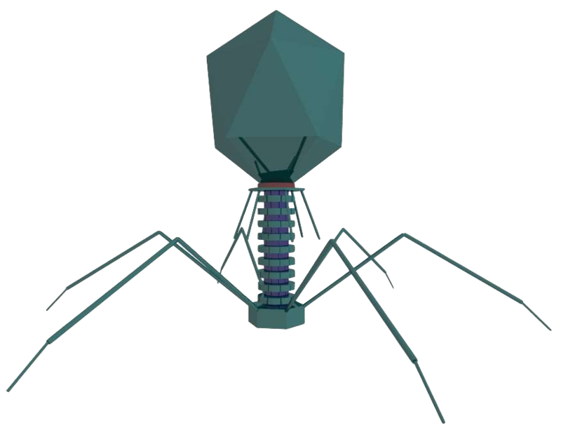 Virus3