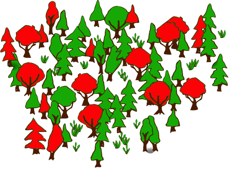 A random forest