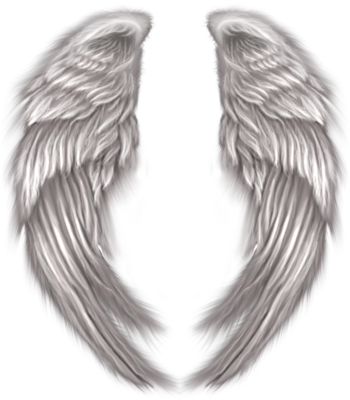 Angel wings psd 438642
