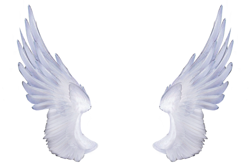 Angelwings4 alegion stock