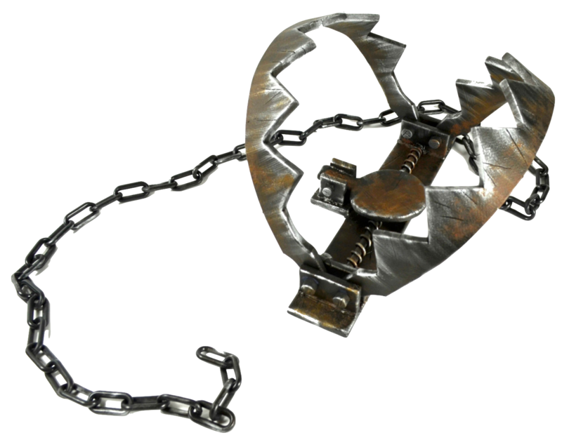 Animal trap