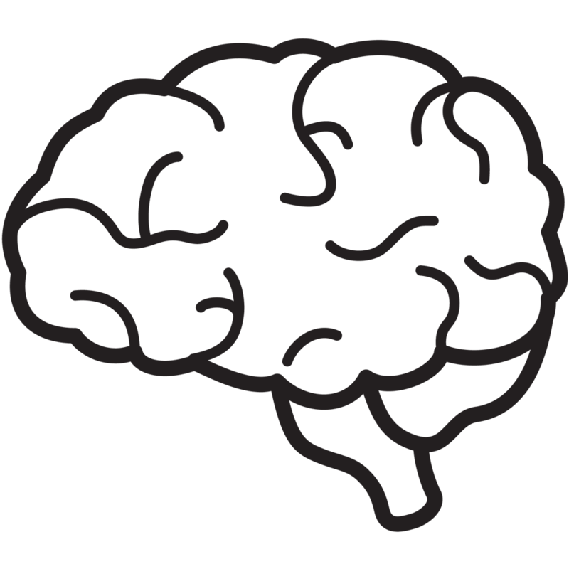 Brain 2