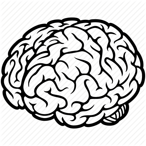 Brain 512