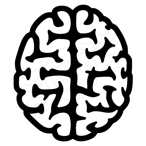 Brain03