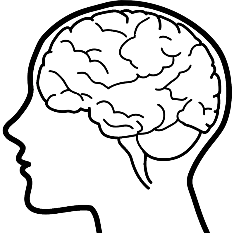 Brain 01