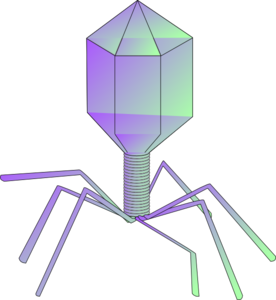 Cartoon virus md