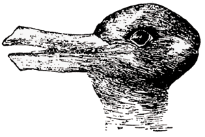 Duck rabbit 02 NTP