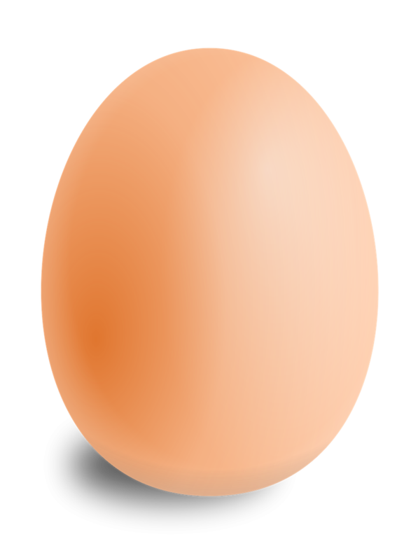 Egg PNG5