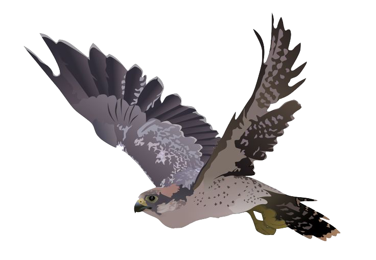 Falcon3