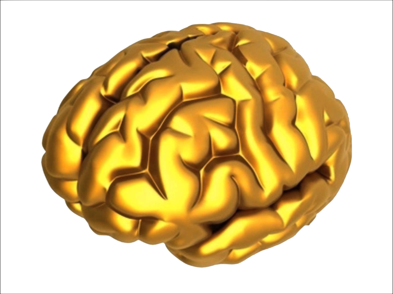 Goldbrain01