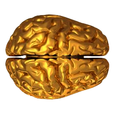 Goldbrain02
