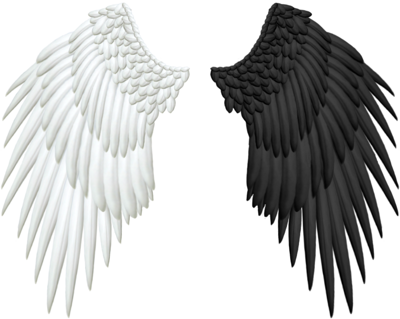 Good and evil angel wings png by thy darkest hour d49rc1y