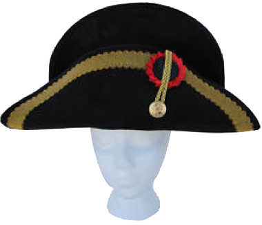 Napoleon hat