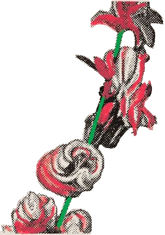 Polke flowers NTP 03052016