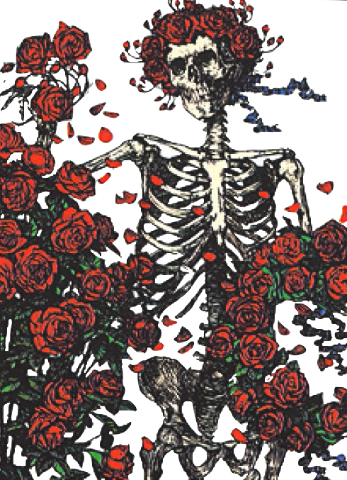 Skull and roses