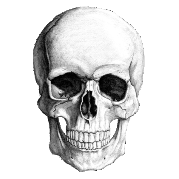 Skull02 copy
