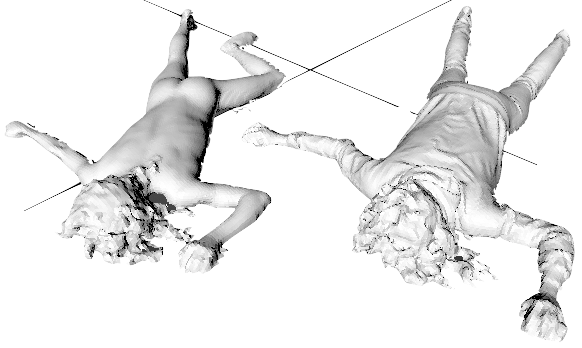 Two dead noahs NTP 2