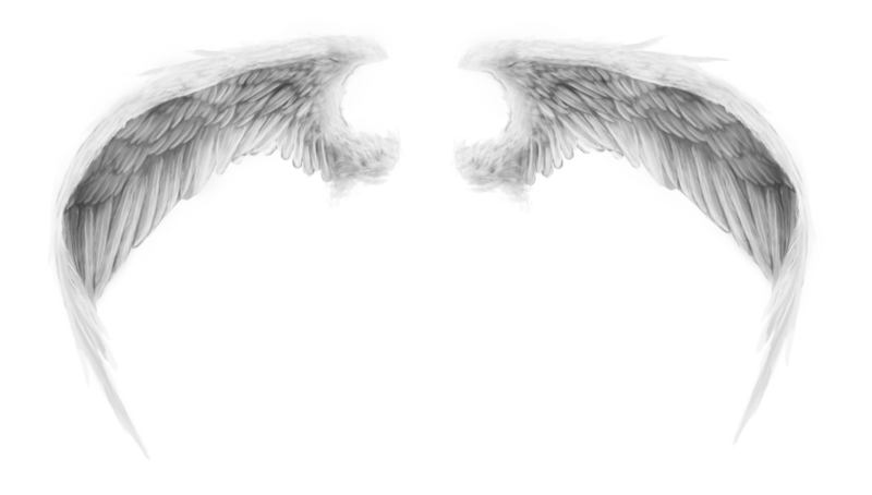 Wings 3 by romanticfae d4lstea