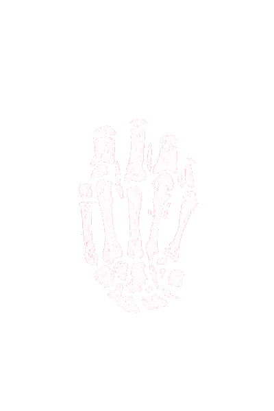 Skeleton middle finger NTP