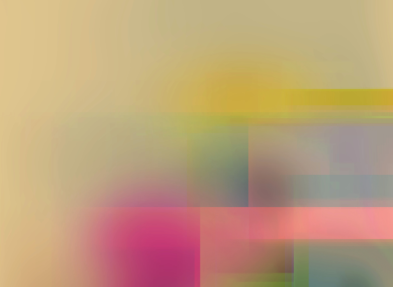 Chrysanthemum4