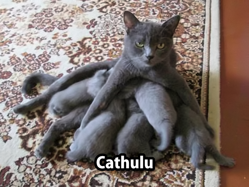 Caaathulu